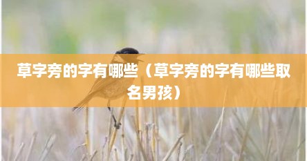 草字旁的字有哪些（草字旁的字有哪些取名男孩）