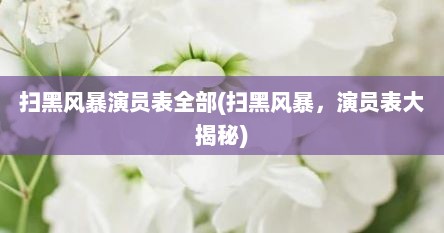 扫黑风暴演员表全部(扫黑风暴，演员表大揭秘)