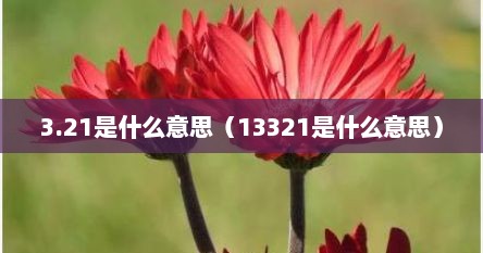 3.21是什么意思（13321是什么意思）