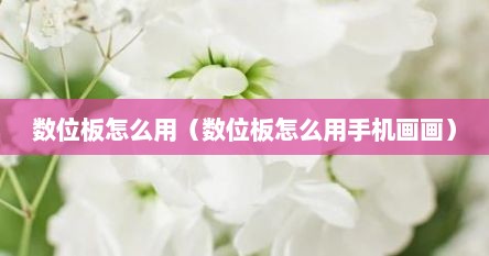 数位板怎么用（数位板怎么用手机画画）