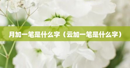 月加一笔是什么字（云加一笔是什么字）