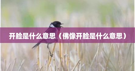 开脸是什么意思（佛像开脸是什么意思）