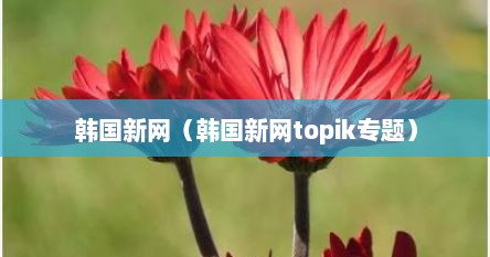 韩国新网（韩国新网topik专题）