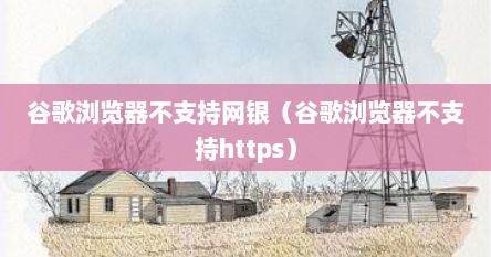 谷歌浏览器不支持网银（谷歌浏览器不支持https）