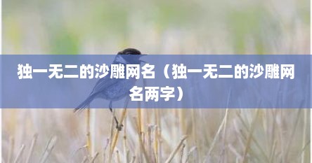 独一无二的沙雕网名（独一无二的沙雕网名两字）