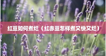 红豆如何煮烂（红赤豆怎样煮又快又烂）