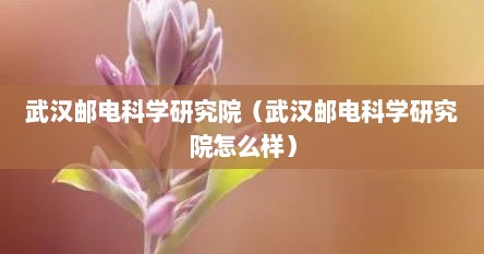 武汉邮电科学研究院（武汉邮电科学研究院怎么样）