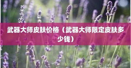 武器大师皮肤价格（武器大师限定皮肤多少钱）