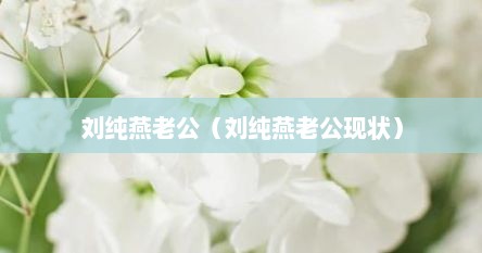 刘纯燕老公（刘纯燕老公现状）