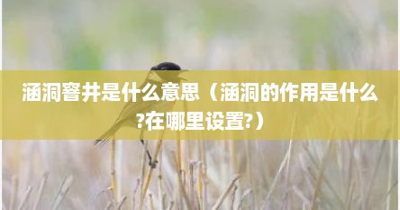 涵洞窨井是什么意思（涵洞的作用是什么?在哪里设置?）