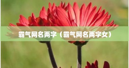 霸气网名两字（霸气网名两字女）