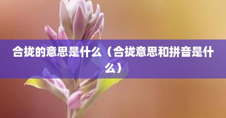 合拢的意思是什么（合拢意思和拼音是什么）