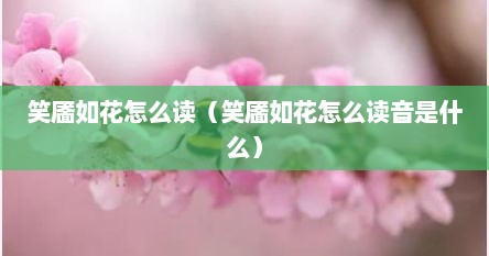 笑靥如花怎么读（笑靥如花怎么读音是什么）