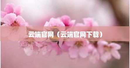 云端官网（云端官网下载）