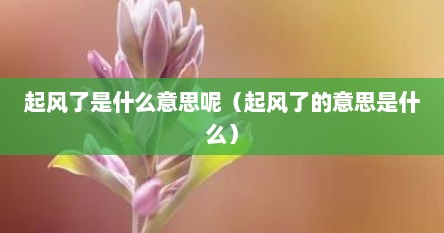 起风了是什么意思呢（起风了的意思是什么）