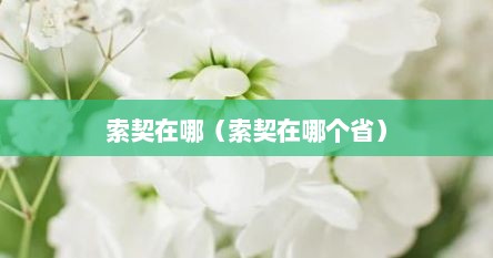 索契在哪（索契在哪个省）