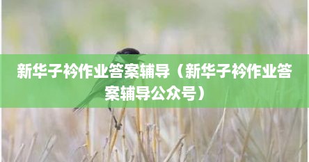 新华子衿作业答案辅导（新华子衿作业答案辅导公众号）