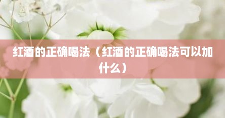 红酒的正确喝法（红酒的正确喝法可以加什么）