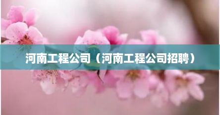 河南工程公司（河南工程公司招聘）