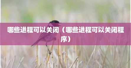 哪些进程可以关闭（哪些进程可以关闭程序）