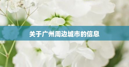 关于广州周边城市的信息