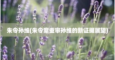 朱令孙维(朱令案重审孙维的新证据展望)