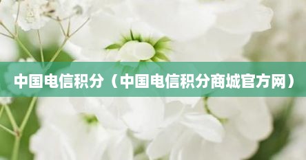 中国电信积分（中国电信积分商城官方网）