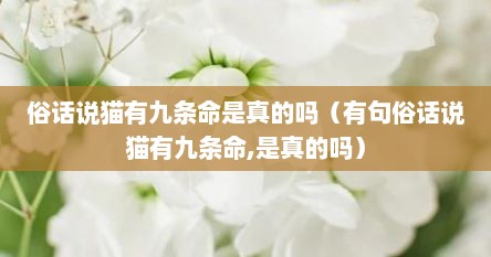 俗话说猫有九条命是真的吗（有句俗话说猫有九条命,是真的吗）