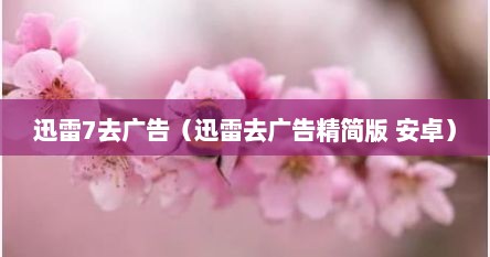 迅雷7去广告（迅雷去广告精简版 安卓）