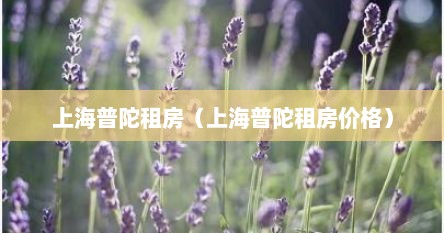 上海普陀租房（上海普陀租房价格）