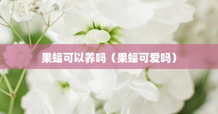 果蝠可以养吗（果蝠可爱吗）