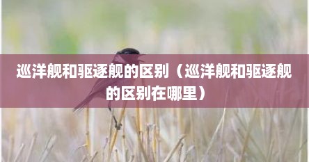 巡洋舰和驱逐舰的区别（巡洋舰和驱逐舰的区别在哪里）