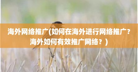 海外网络推广(如何在海外进行网络推广？海外如何有效推广网络？)