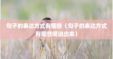 句子的表达方式有哪些（句子的表达方式有哪些呢说出来）