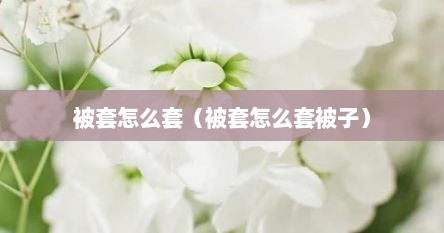 被套怎么套（被套怎么套被子）