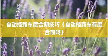 自动挡新车磨合期技巧（自动档新车有磨合期吗）