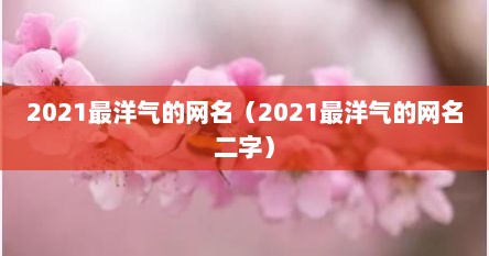 2021最洋气的网名（2021最洋气的网名二字）