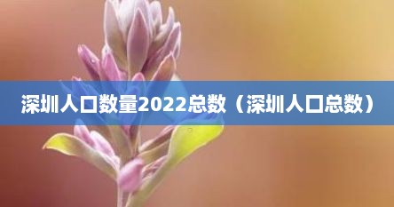 深圳人口数量2022总数（深圳人囗总数）