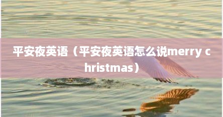 平安夜英语（平安夜英语怎么说merry christmas）