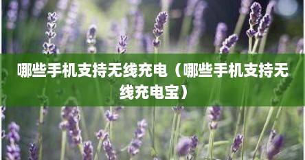 哪些手机支持无线充电（哪些手机支持无线充电宝）