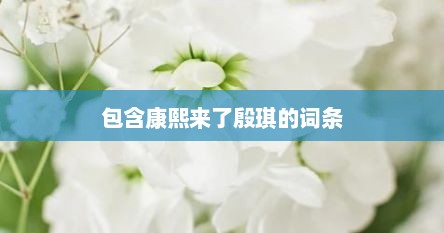 包含康熙来了殷琪的词条