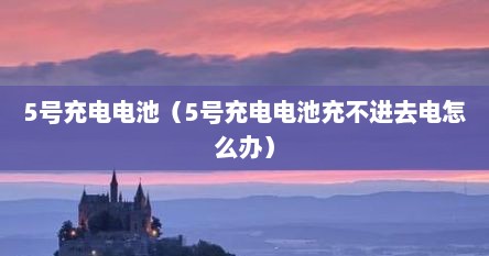 5号充电电池（5号充电电池充不进去电怎么办）