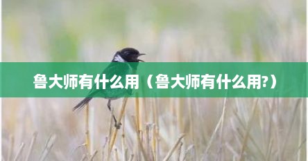 鲁大师有什么用（鲁大师有什么用?）