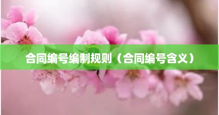 合同编号编制规则（合同编号含义）