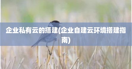 企业私有云的搭建(企业自建云环境搭建指南)