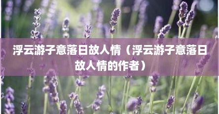 浮云游子意落日故人情（浮云游子意落日故人情的作者）