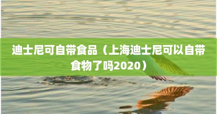 迪士尼可自带食品（上海迪士尼可以自带食物了吗2020）