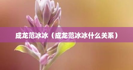 成龙范冰冰（成龙范冰冰什么关系）