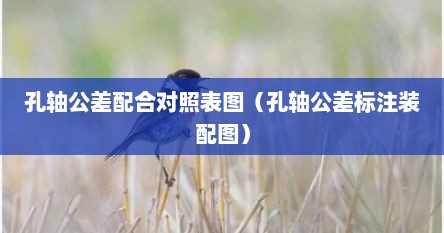 孔轴公差配合对照表图（孔轴公差标注装配图）