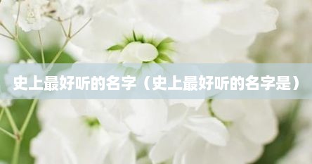 史上最好听的名字（史上最好听的名字是）